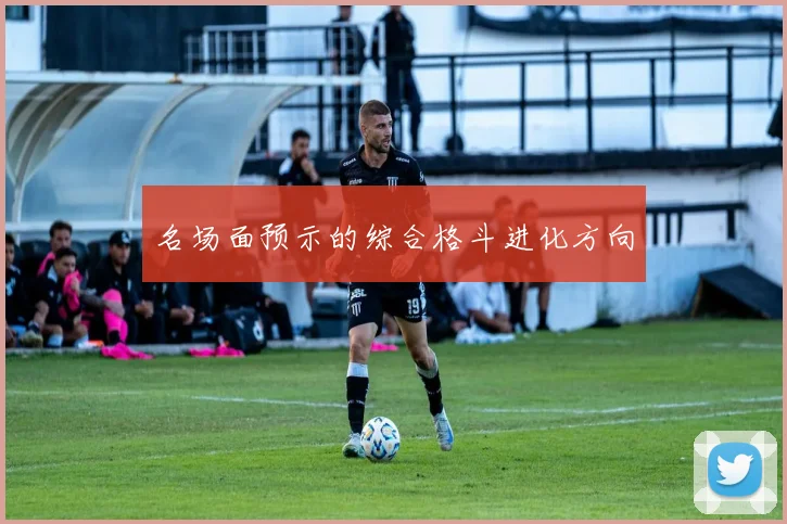 名场面预示的综合格斗进化方向