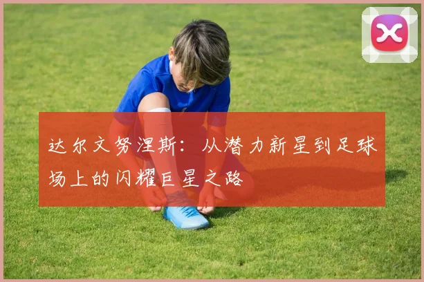 达尔文努涅斯：从潜力新星到足球场上的闪耀巨星之路