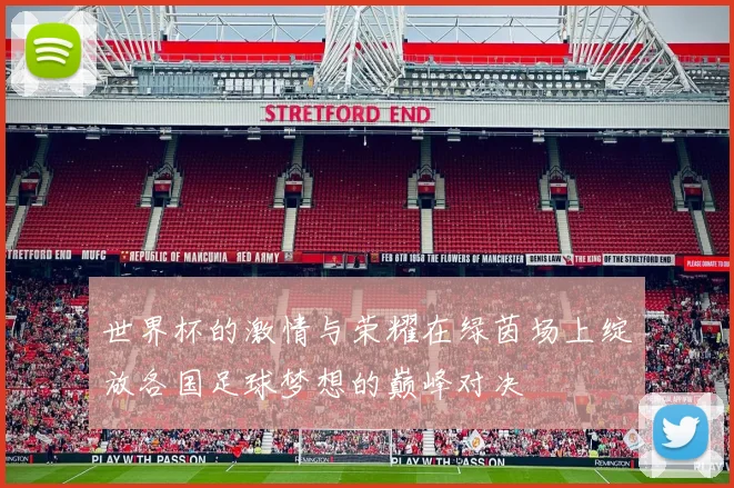 世界杯的激情与荣耀在绿茵场上绽放各国足球梦想的巅峰对决
